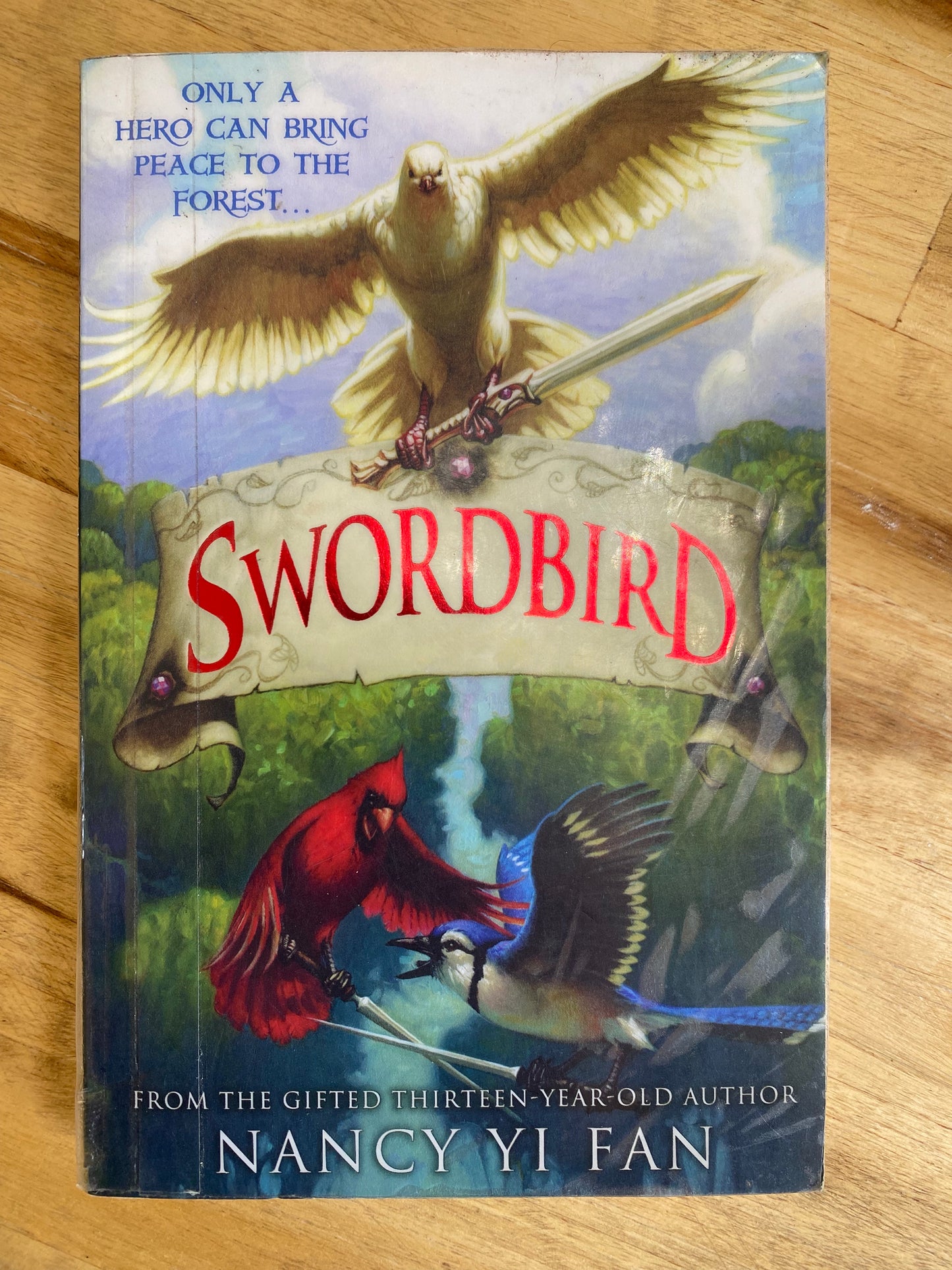 Swordbird by Nancy Yi Fan