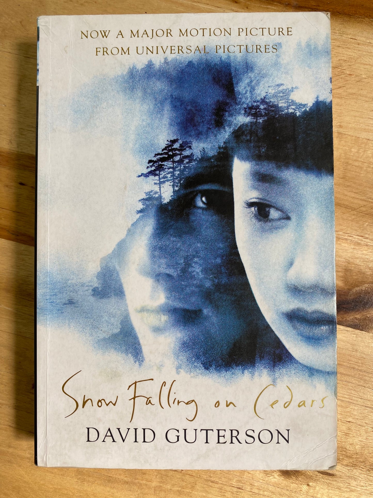 Snow Falling on Cedars by David Guterson