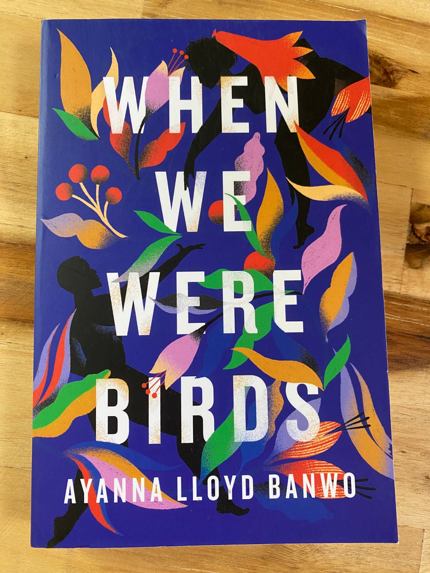 When We Were Birds by Ayanna Lloyd Banwo