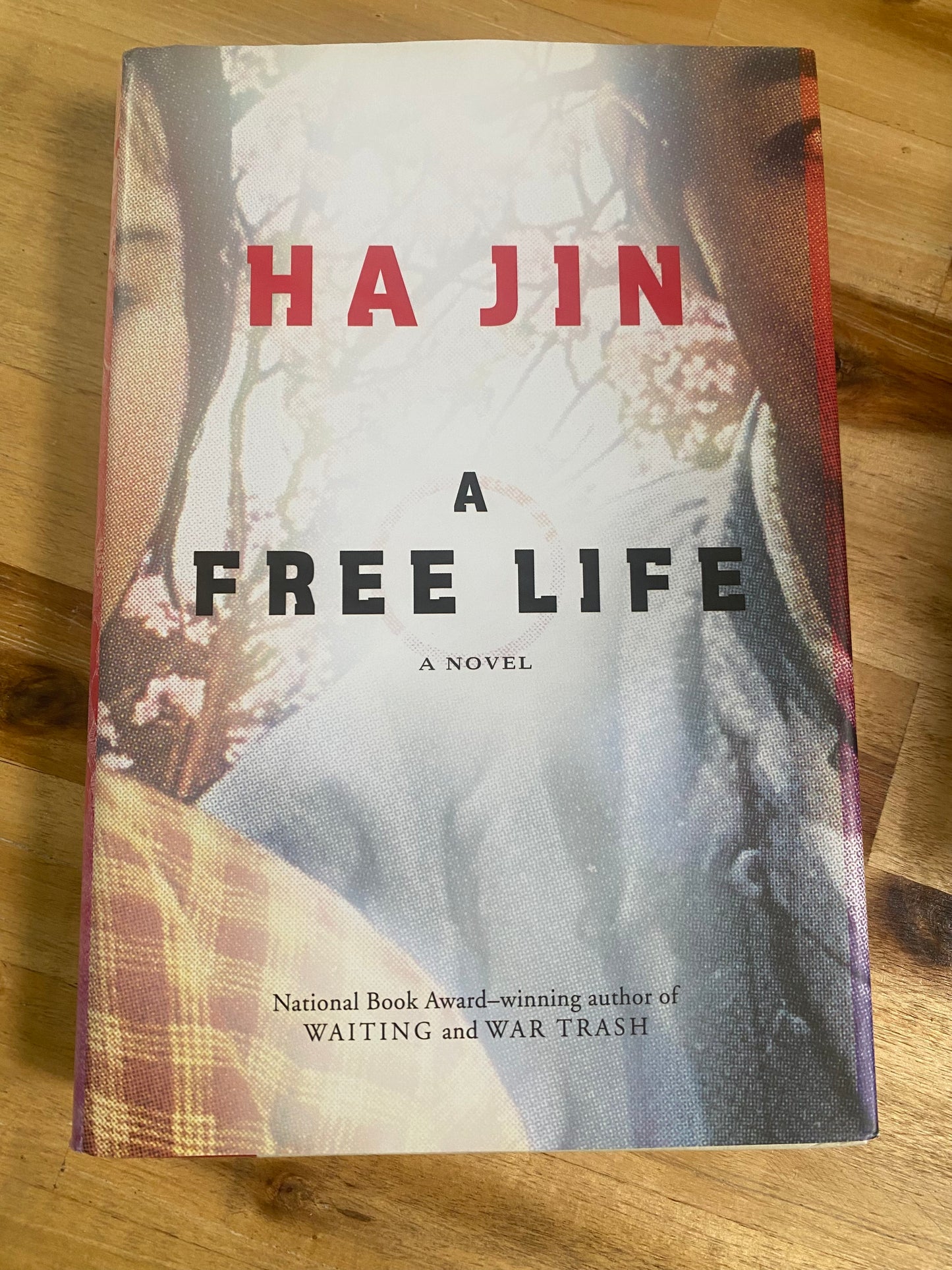 A Free Life by Ha Jin