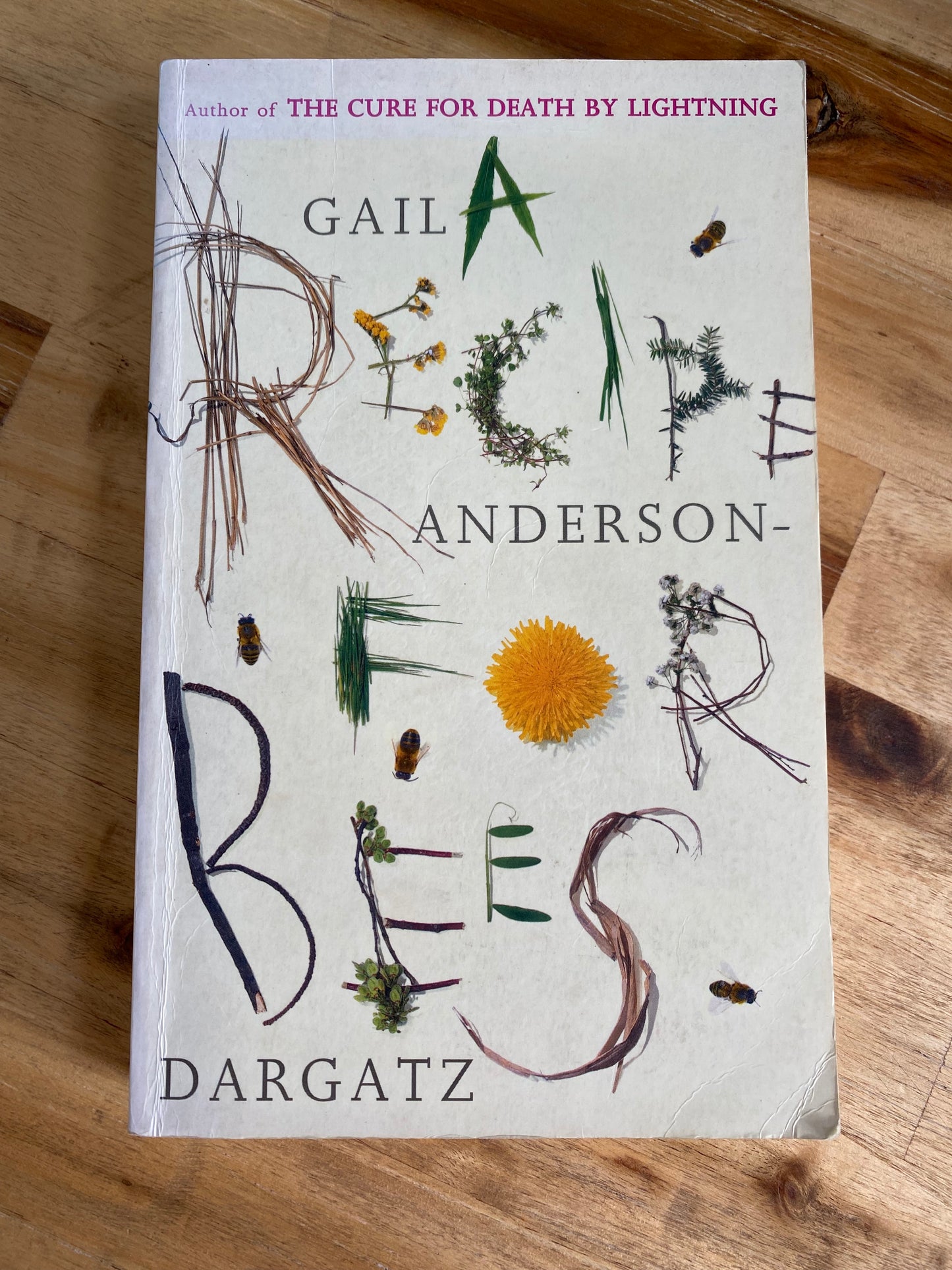 A Recipe for Bees by Gail Anderson-Dargatz