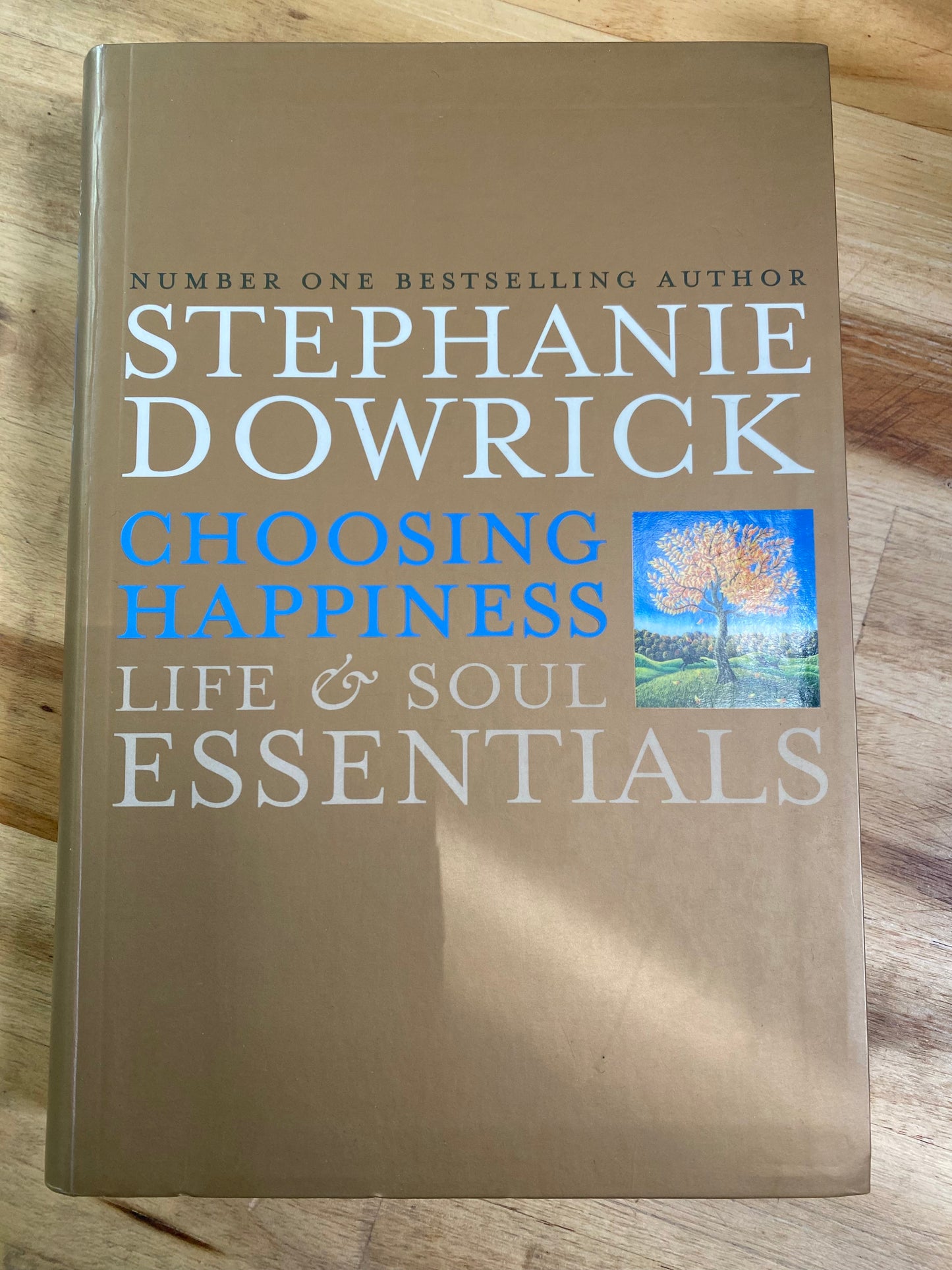 Choosing Happiness, Life & Soul Essentials by Stephanie Dowrick