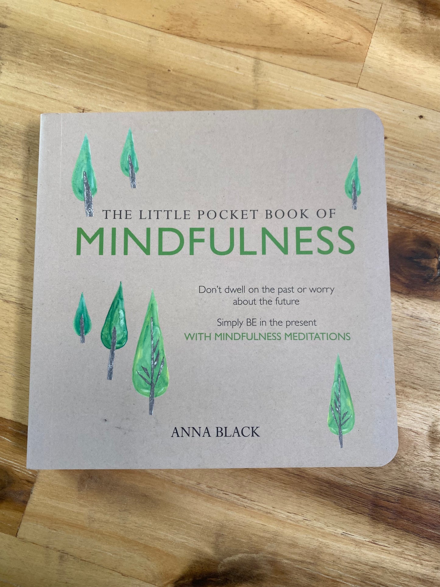 The Little Pocket Book of Mindfulness by Anna Black