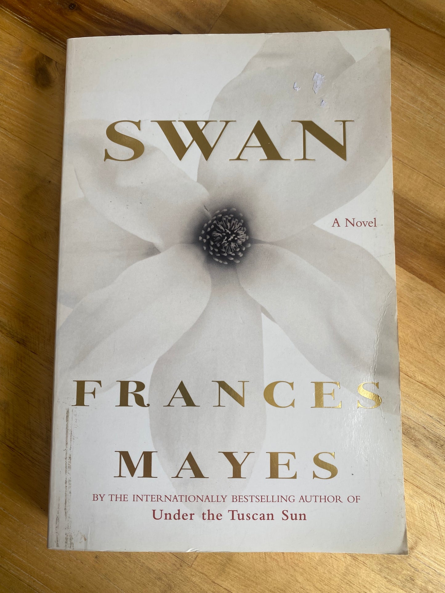 Swan by Frances Mayes