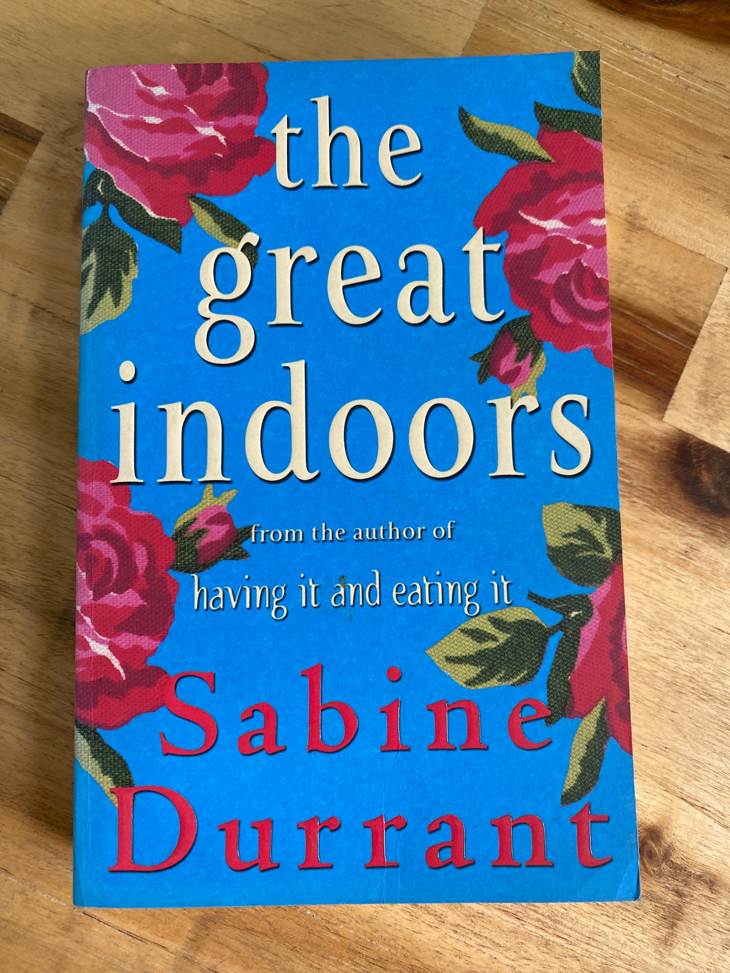 The Great Indoors by Sabine Durrant