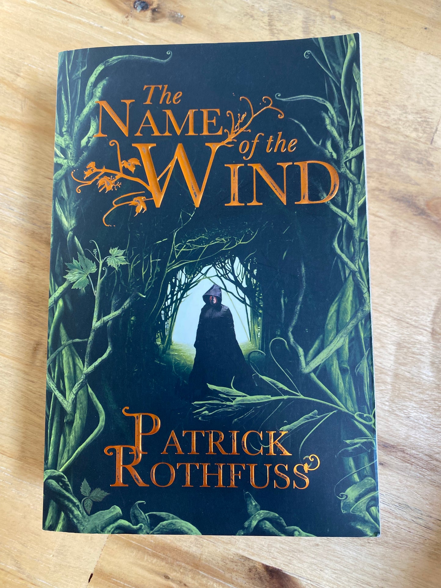 The Name of the Wind by Patrick Rothfuss