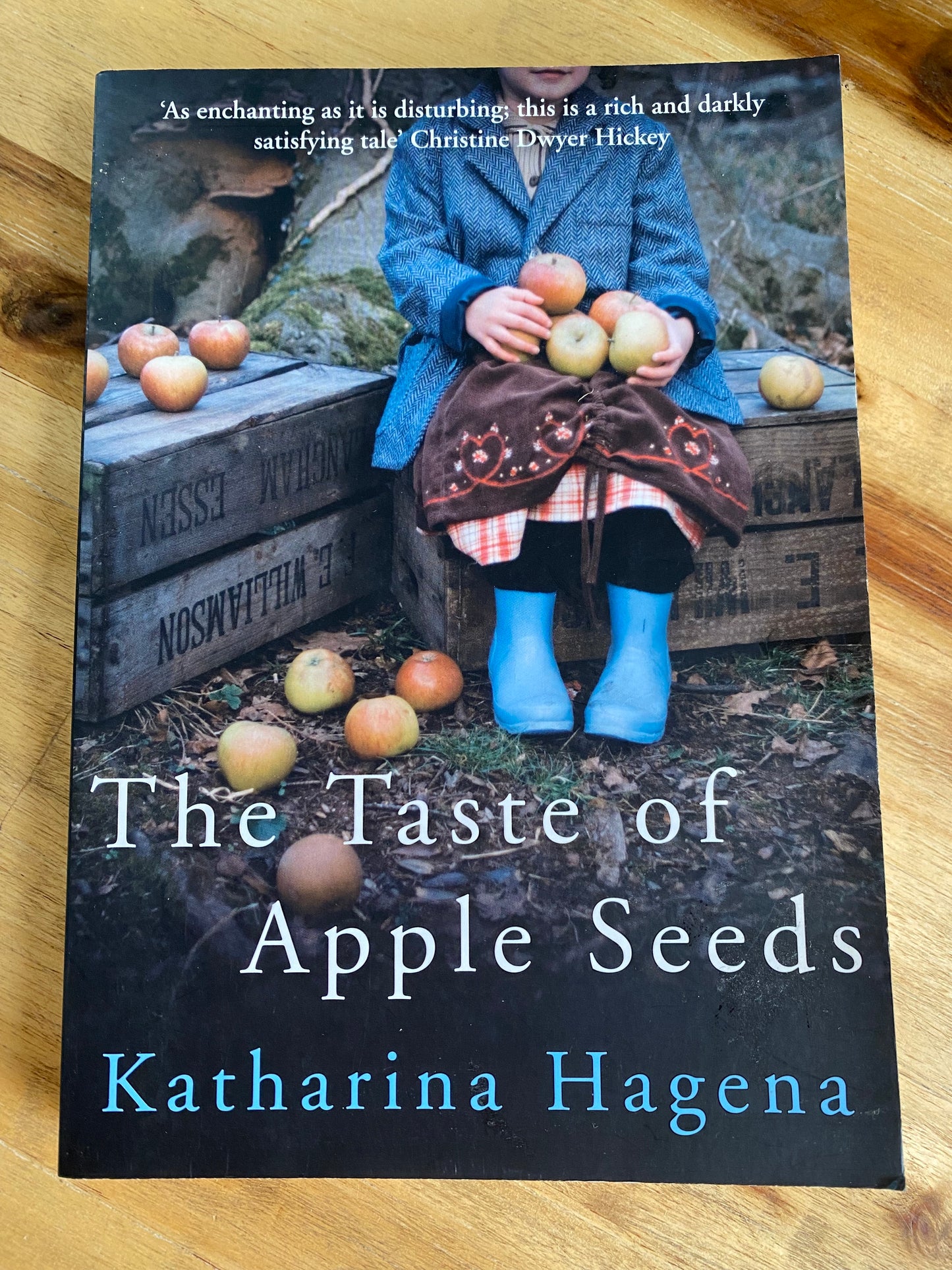 The Taste of Apple Seeds by Katharina Hagena