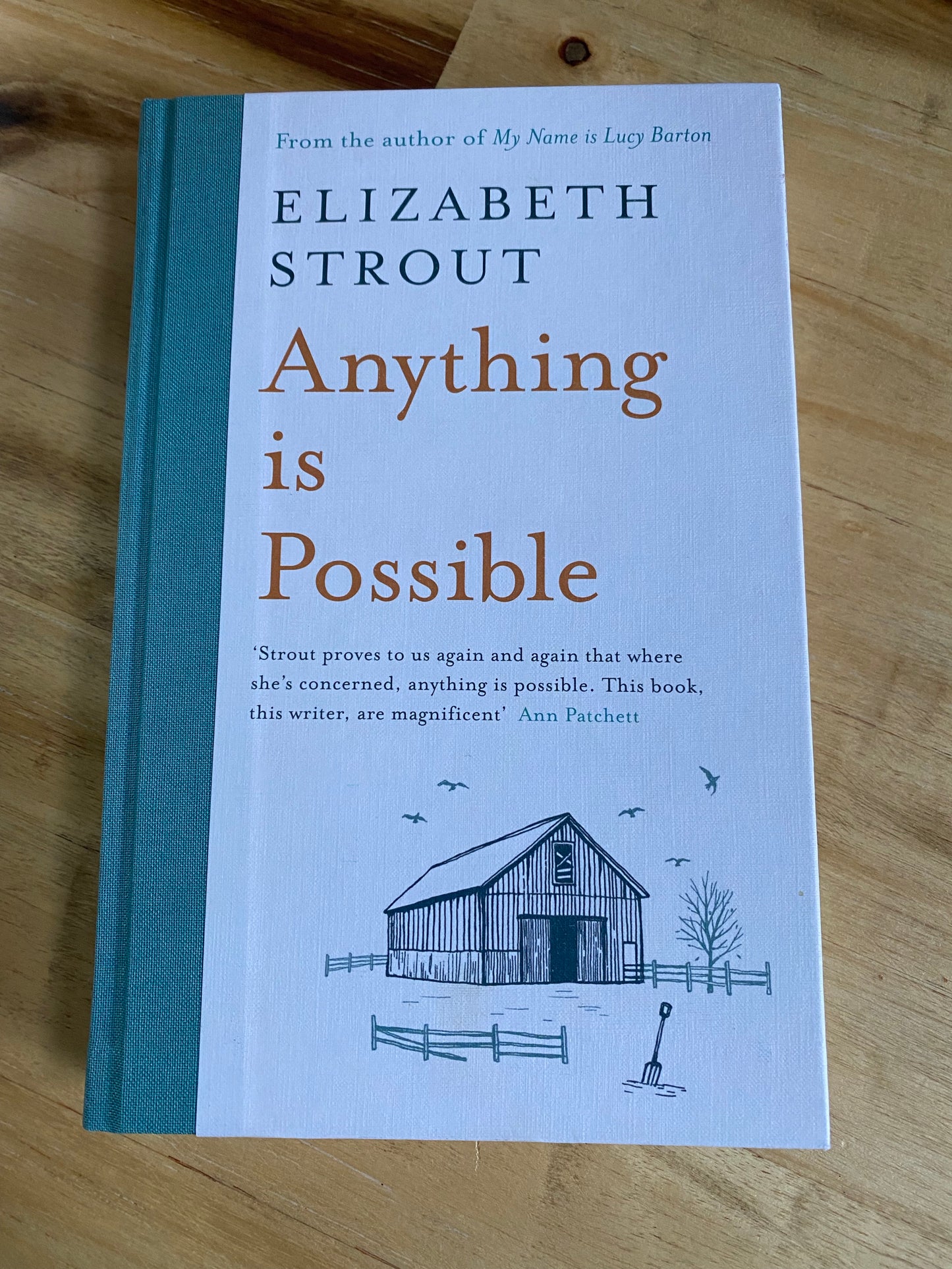 Anything is Possible by Elizabeth Strout