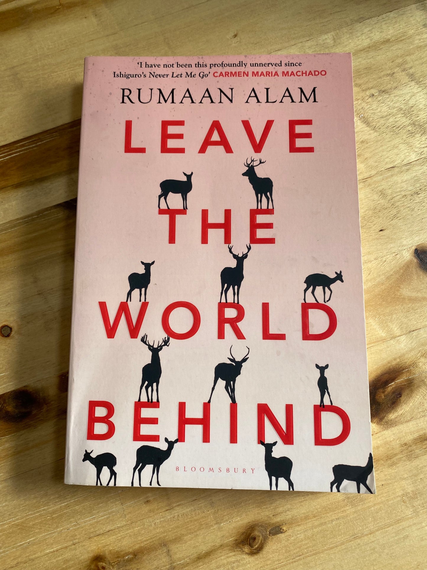 Leave the World Behind by Rumaan Alam