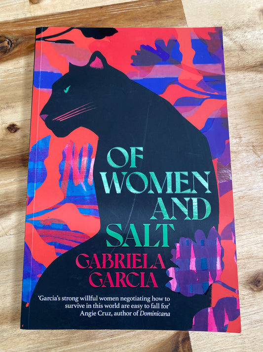 Of Women and Salt by Gabriela Garcia