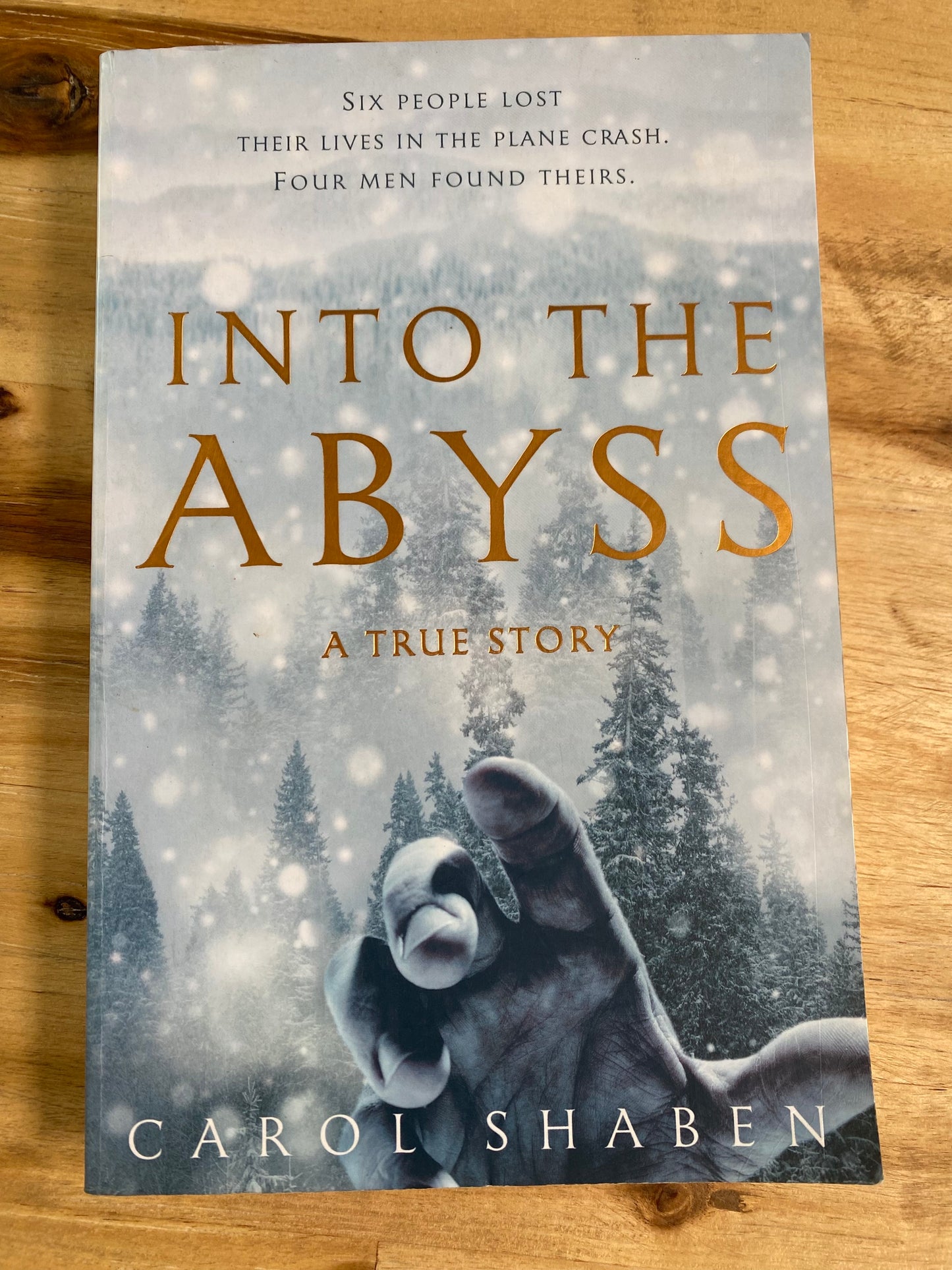 Into the Abyss by Carol Shaben