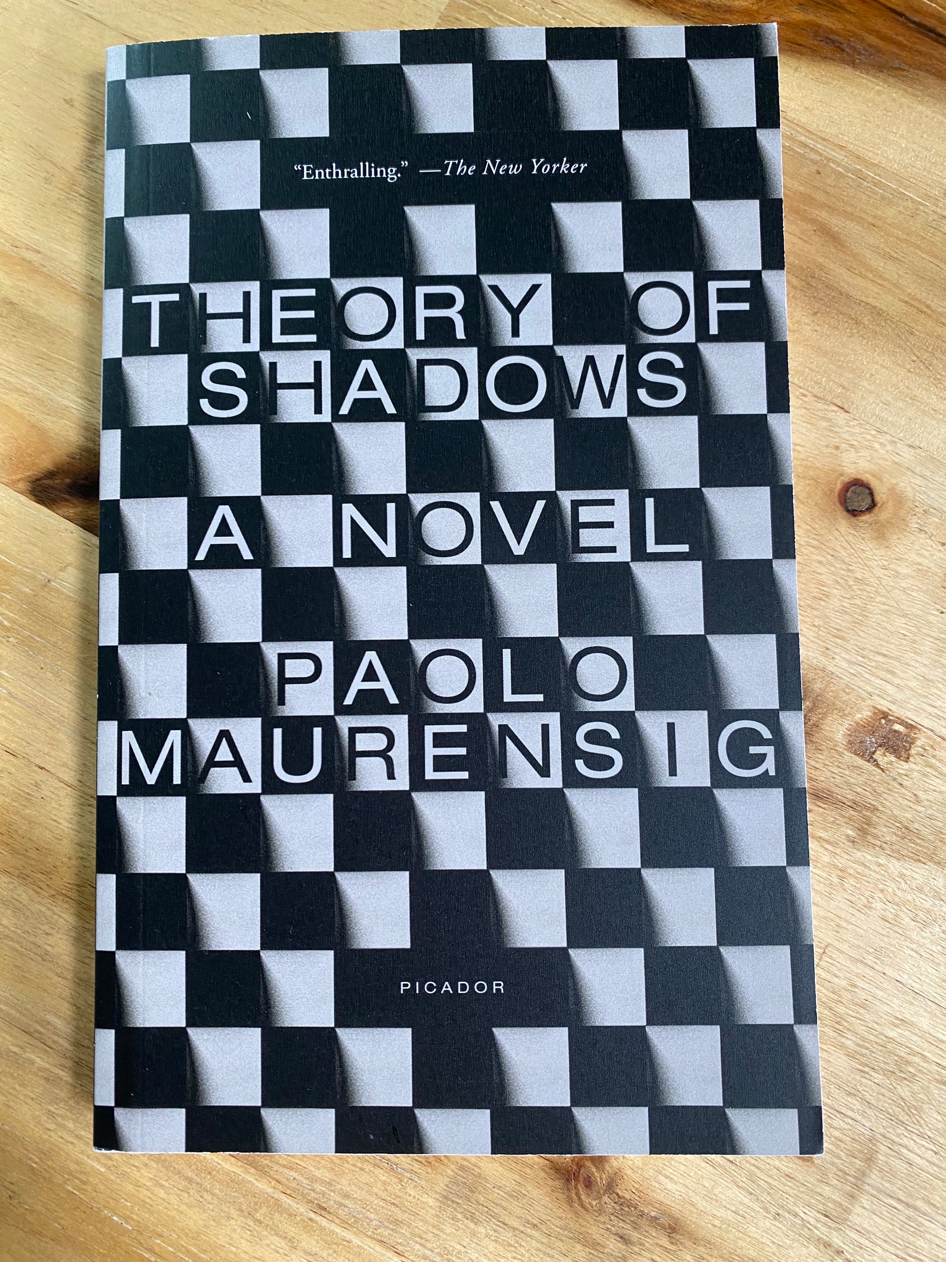 Theory of Shadows: A Novel by Paolo Maurensig