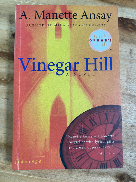 Vinegar Hill by A. Manette Ansay