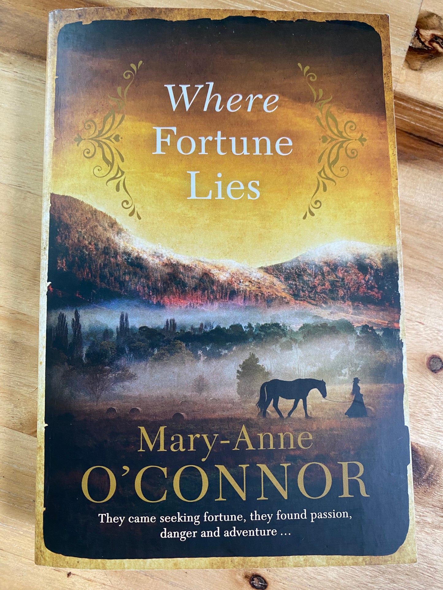 Where Fortune Lies by Mary-Anne O'Connor